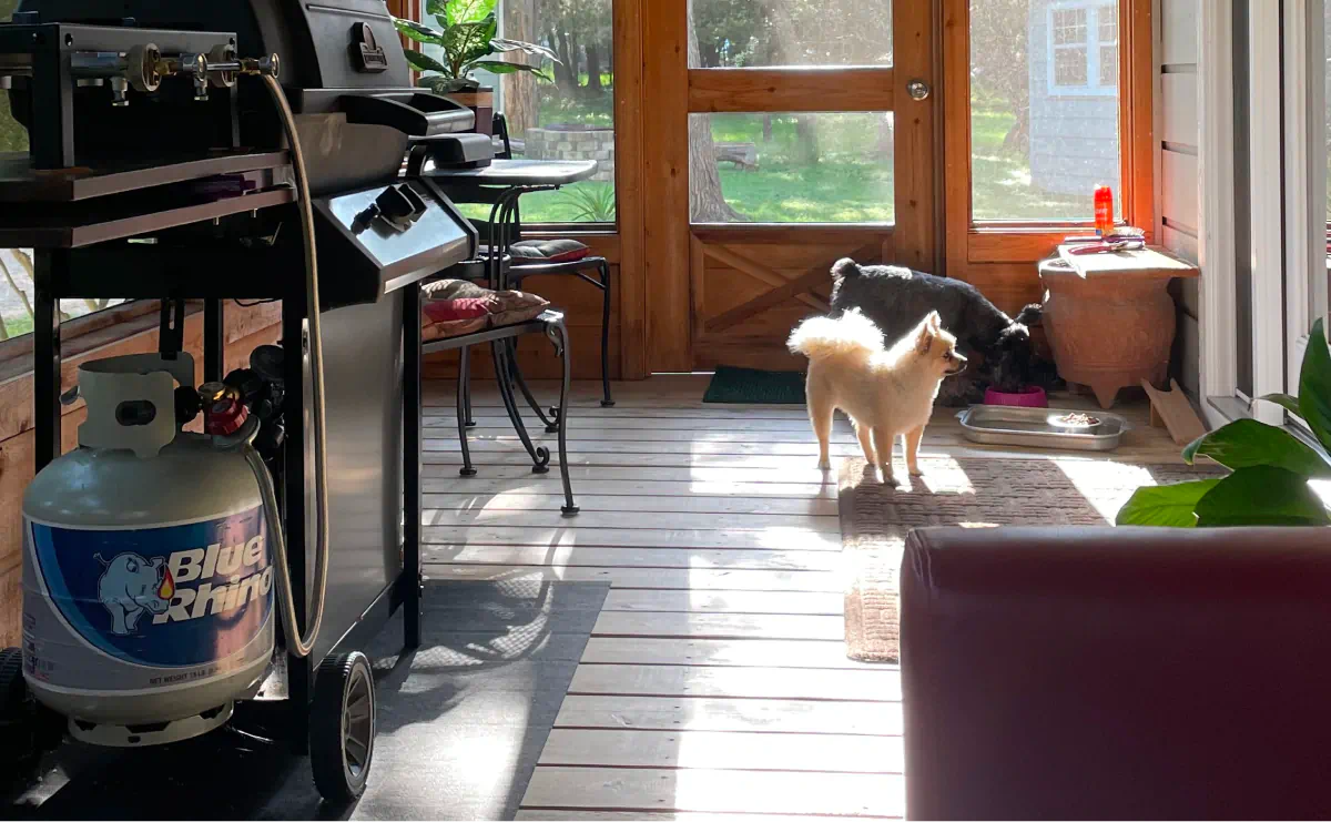 Waiting for Mom to let us out