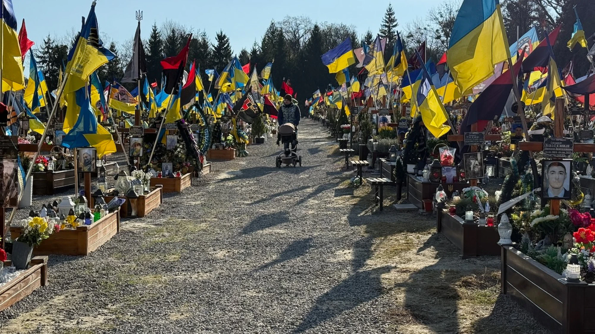 Lviv cemetery. The cemetaries in most towns are easily spotted becaue of these flags. In larger cities like Lviv there are rows and rows of them.
